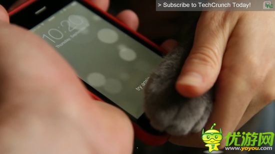 玩家測試iPhone5S解鎖 乳房腳趾鼻頭喵爪均可識別