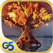 柏樹(shù)女巫的詛咒