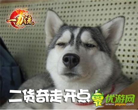 不做 天拓游戲《一刀流》寵物不只會賣萌