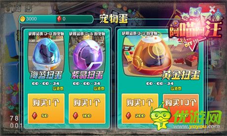 喵汪TV報(bào)道：《阿喵阿汪》大批無(wú)主新兵盼主