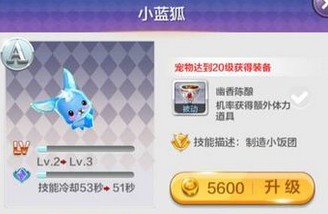 天天風(fēng)之旅新手前期最強(qiáng)裝備攻略